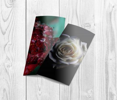 Brochures - Image 8